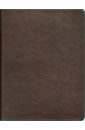  Тетрадь "Копибук" (на кольцах, 160 листов, коричневая с бирюзовым) (40223)