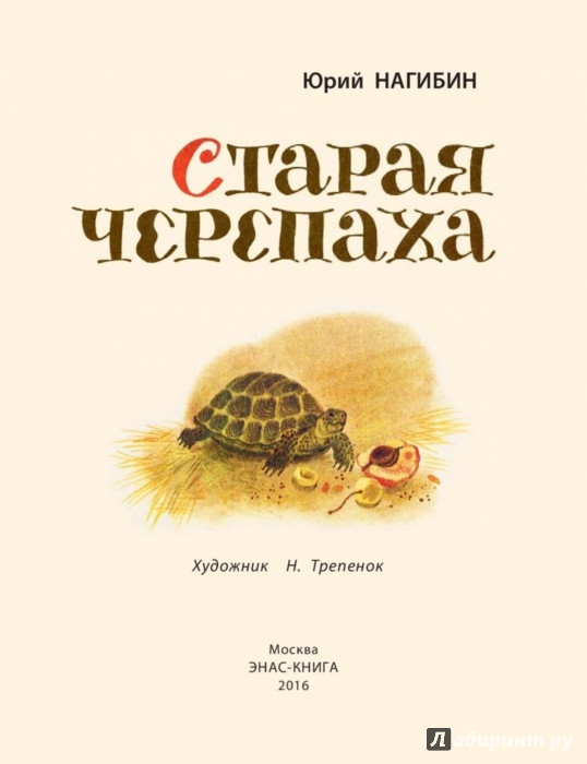 старая черепаха нагибин слушать старая черепаха нагибин слушать