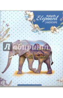 Тетрадь общая "Животные. Слон" (48 листов, клетка) (С 2242-80)