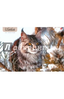 Альбом для рисования "Зимний кот" (40 листов, склейка) (А 401411)