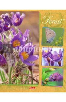 ������� ����� "���� ����" (48 ������, �5, ������, � ������������) (48�5���1)