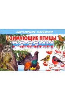Карточки. Зимующие птицы России