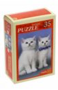 Puzzle-35 "�������� �������", � ������������ (�35-3254)