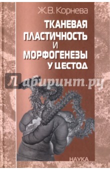 Тканевая пластичность и морфогенезы у цестод