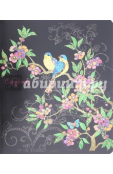 ������� 48 ������, ������-1, ������, � ������������ (27113)