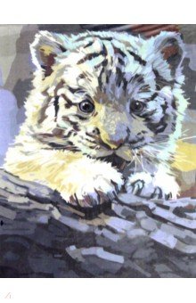 Раскраска по номерам "Белый тигренок" (30 х 40 см) (S 3772)
