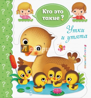Утки и утята