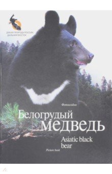 Белогрудый медведь. Фотоальбом