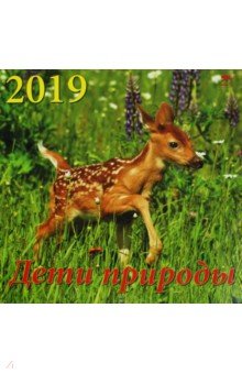 Календарь 2019 "Дети природы" (70923)