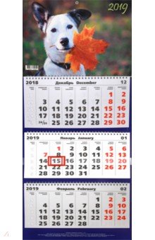 Календарь трехблочный на 2019 год "Осенний пес" (ККТ 1908)