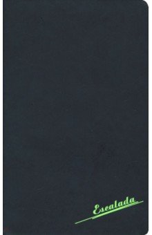 Ежедневник недатированный "Софт-тач" (А 5, 96 листов, черный с неоново-зеленым) (47470)