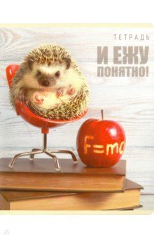 ������� 48 ������, ������ "������ ����� ����", � ������������ (26740)