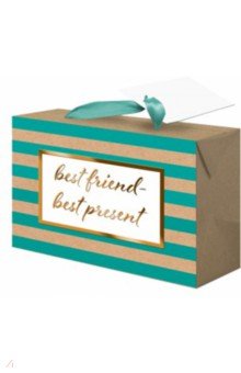 Пакет-коробка "Best friend" (22, 5x13, 5x20 см) (79675)