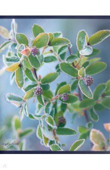   &quot; &quot; (48 , 5, ,  ) (486226)