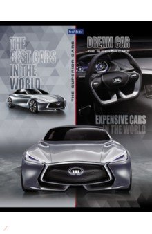  &quot;Dream car&quot;, 48 , ,   (485A1)