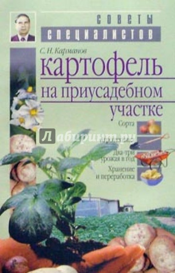 Картофель на приусадебном участке