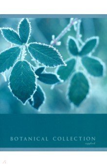   &quot; &quot; (96 , 5, ,  ) (486349)