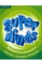 Super Minds. Level 2. Workbook with Online Resources