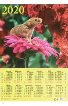    2020  &quot; .   &quot; (90023)