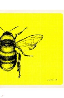 ������� ����� "����� �������" (48 ������, �5, ������, � ������������) (��2�486635)