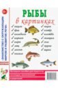  Рыбы в картинках. Наглядное пособие для педагогов, логопедов, воспитателей и родителей