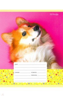Тетрадь школьная "Любимый питомец" (12 листов, А5, клетка, в ассортименте) (ТК126490) Тетрадь школьная "Любимый питомец" (12 листов, А5, клетка, в ассортименте) (ТК126490)