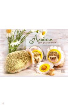    20  &quot;  &quot;   (49204)