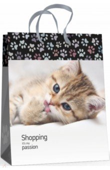 Пакет вертикальный "Котенок" (18х22 см) (2-321/02) Пакет вертикальный "Котенок" (18х22 см) (2-321/02)