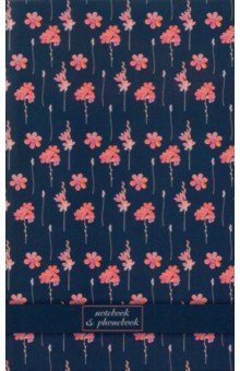 ��������� ������ + ������� ��������� �������, 48 ������, �6