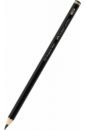 �������� �������������� Pitt Graphite Matt, 12B