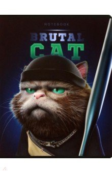 ������� ���������� ����, 48 ������, ������, � ������������