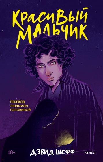 Красивый мальчик. Правдивая история отца, который боролся за сына