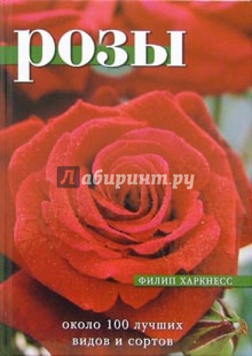 Розы: Около 100 лучших видов и сортов