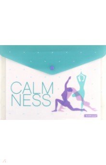 Папка-конверт на кнопке, A4, в ассортименте Папка-конверт на кнопке, A4, в ассортименте