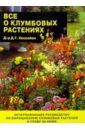 Дэвид Хессайон - Все о клумбовых растениях обложка книги