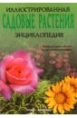 Клас Нордхейс - Садовые растения. Иллюстрированная энциклопедия обложка книги