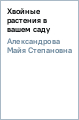 Майя Александрова - Хвойные растения в вашем саду обложка книги