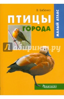 Птицы города. Малый Атлас - Владимир Бабенко
