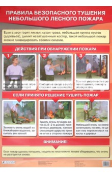 Правила безопасного тушения небольшого лесного пожара - Латчук, Миронов, Миронов