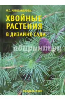 Хвойные растения в дизайне сада - М. Александрова