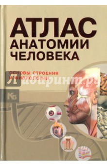 Анатомический атлас