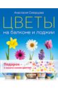 Анастасия Скворцова - Цветы на балконе и лоджии. Комплект (книга + 2 пакета семян цветов) обложка книги
