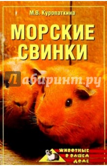 Морские свинки - Марина Куропаткина