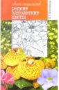 Елена Колесникова - Редкие однолетние цветы обложка книги