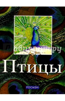 Птицы - Костин, Рубинштейн