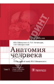 анатомия гайворонский 2 том скачать