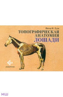 Топографическая анатомия лошади - Питер Гуди