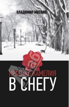 Красная камелия в снегу - Владимир Матлин