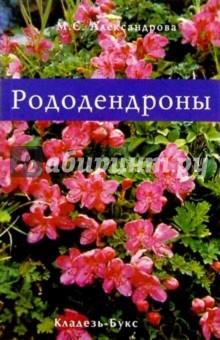 Рододендроны - Майя Александрова