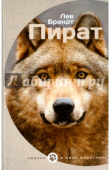Пират - Лев Брандт